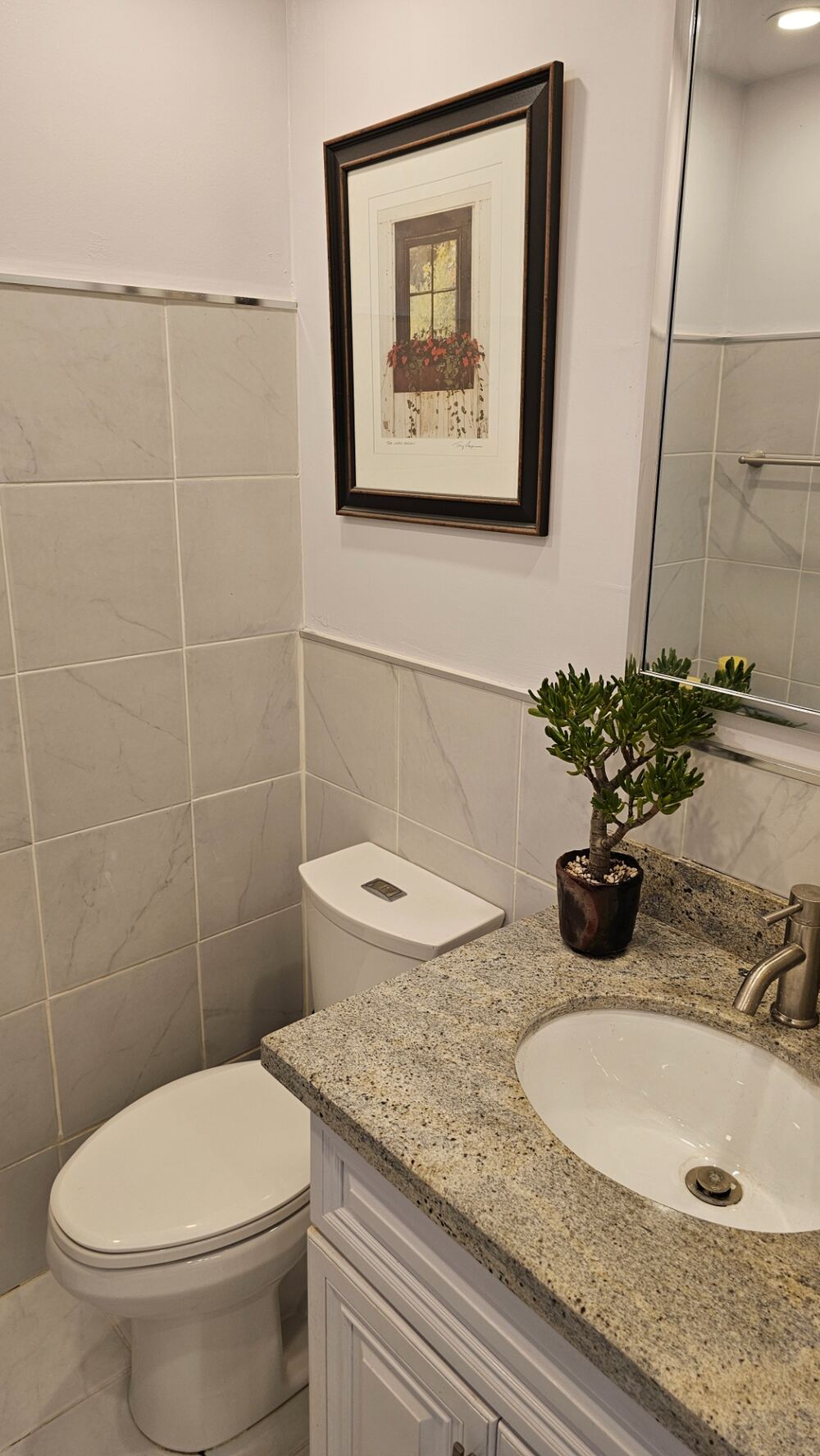Lower level washroom, view 1